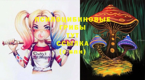 мет Абаза
