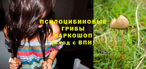 мет Абаза