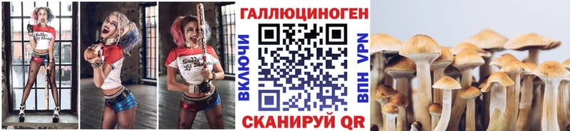 Псилоцибиновые грибы ЛСД  blacksprut ссылки  Кяхта 